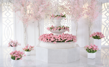 Арендовать Cross Studio. Зал Авалон