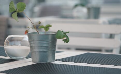 Арендовать Крыша с шатром для мероприятий любого формата