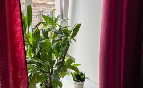 Арендовать Кабинет с удобными креслами и массажным столом