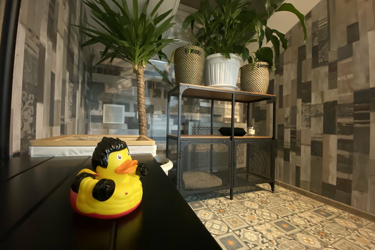 Арендовать Светлая мансарда для образовательных мероприятий