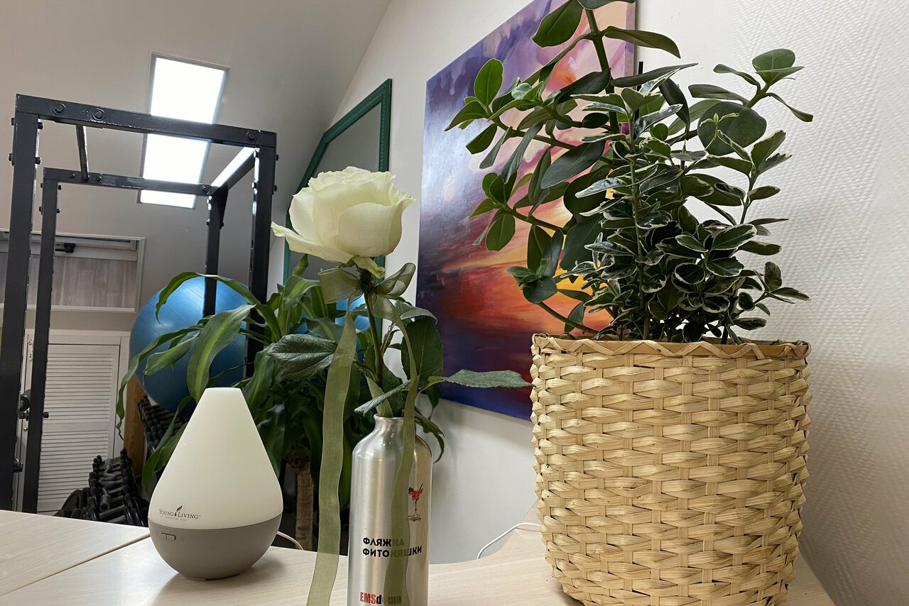 Арендовать Светлая мансарда для образовательных мероприятий