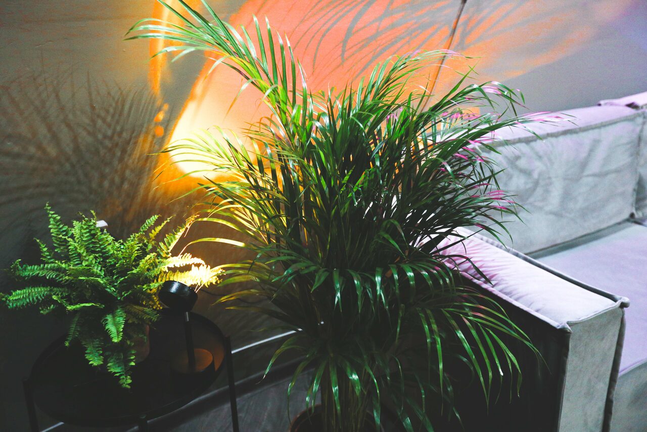 Арендовать На орбите