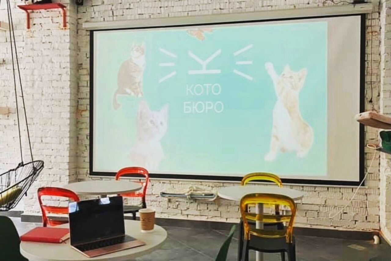 Арендовать КотоБюро 