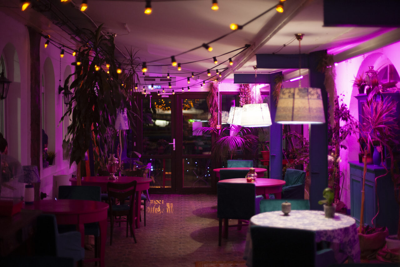 Арендовать Индийский лофт-сад с тропическими растениями