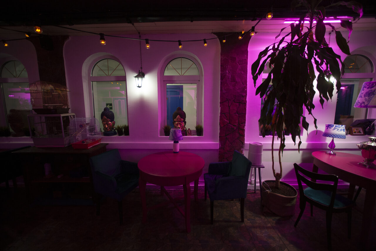 Арендовать Индийский лофт-сад с тропическими растениями