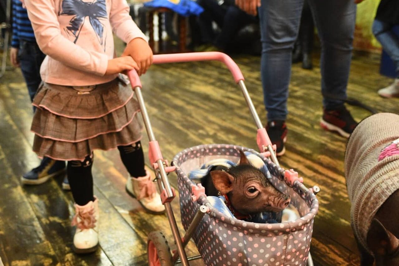 Арендовать Loft 2'25. Лофт со своей территорией для детских событий