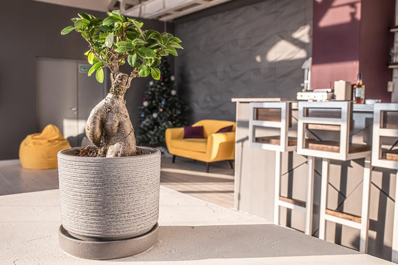 Арендовать DDMP Event. Атмосферное пространство 