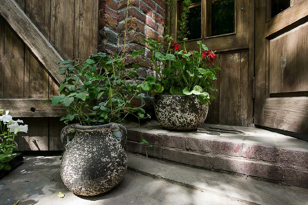 Арендовать Roden 