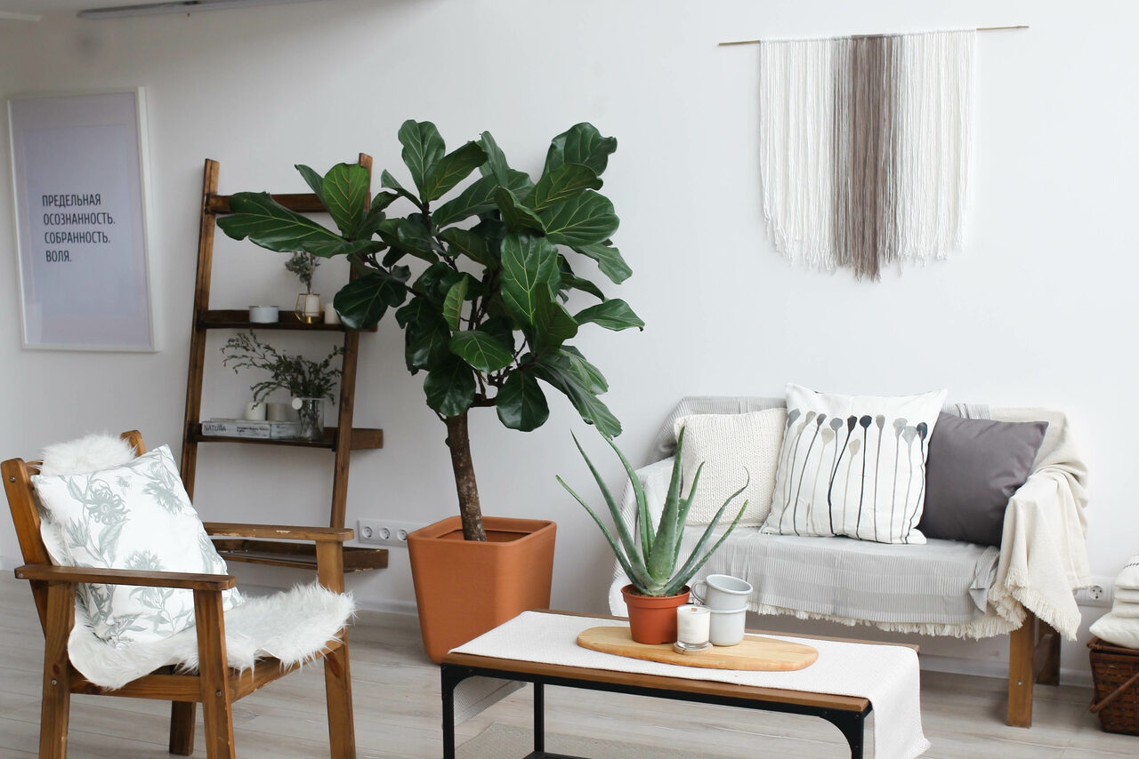 Арендовать Натура Место Белый тренинг-лофт