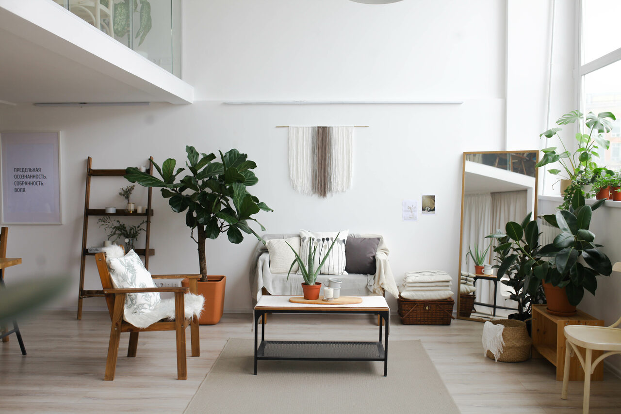 Арендовать Натура Место Белый тренинг-лофт