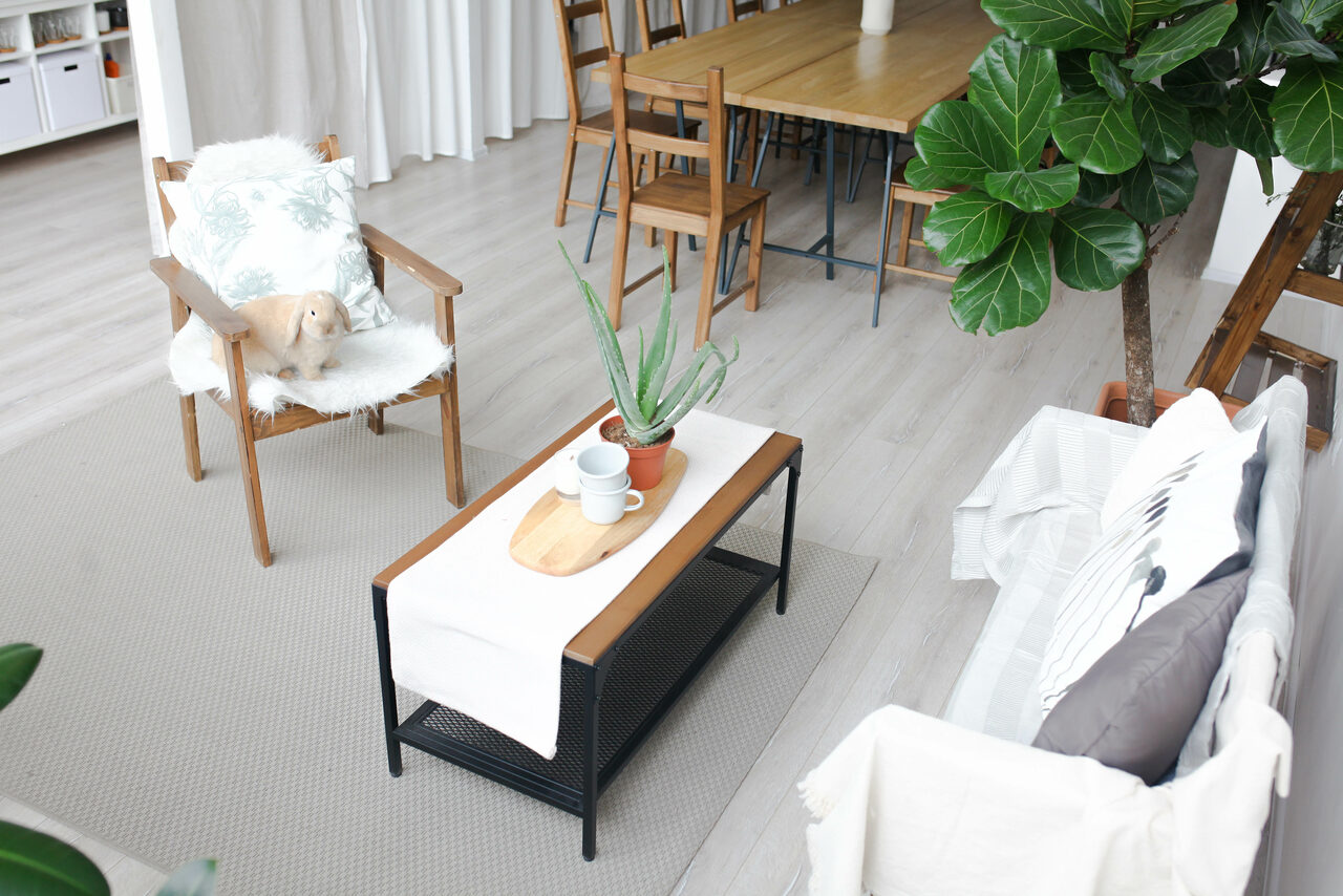 Арендовать Натура Место Белый тренинг-лофт