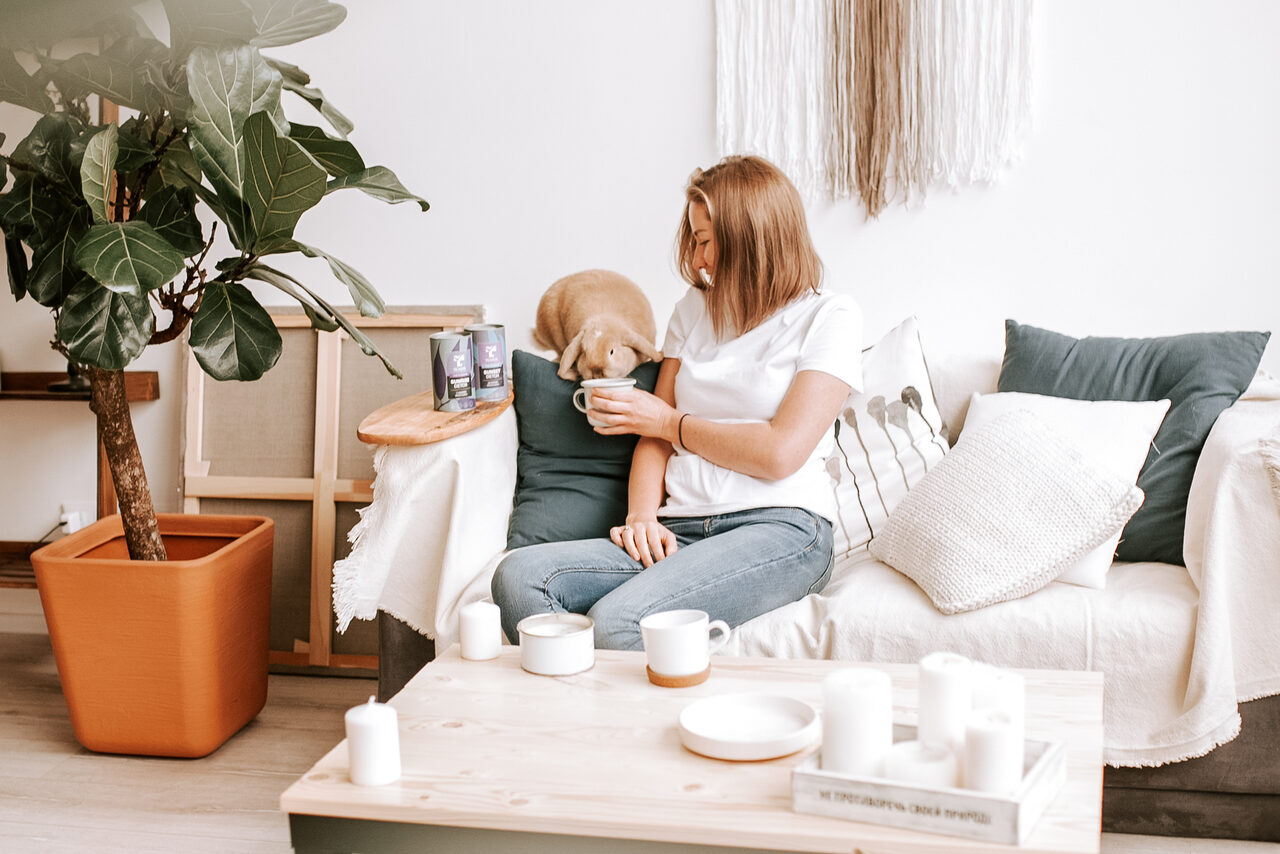 Арендовать Натура Место Белый тренинг-лофт