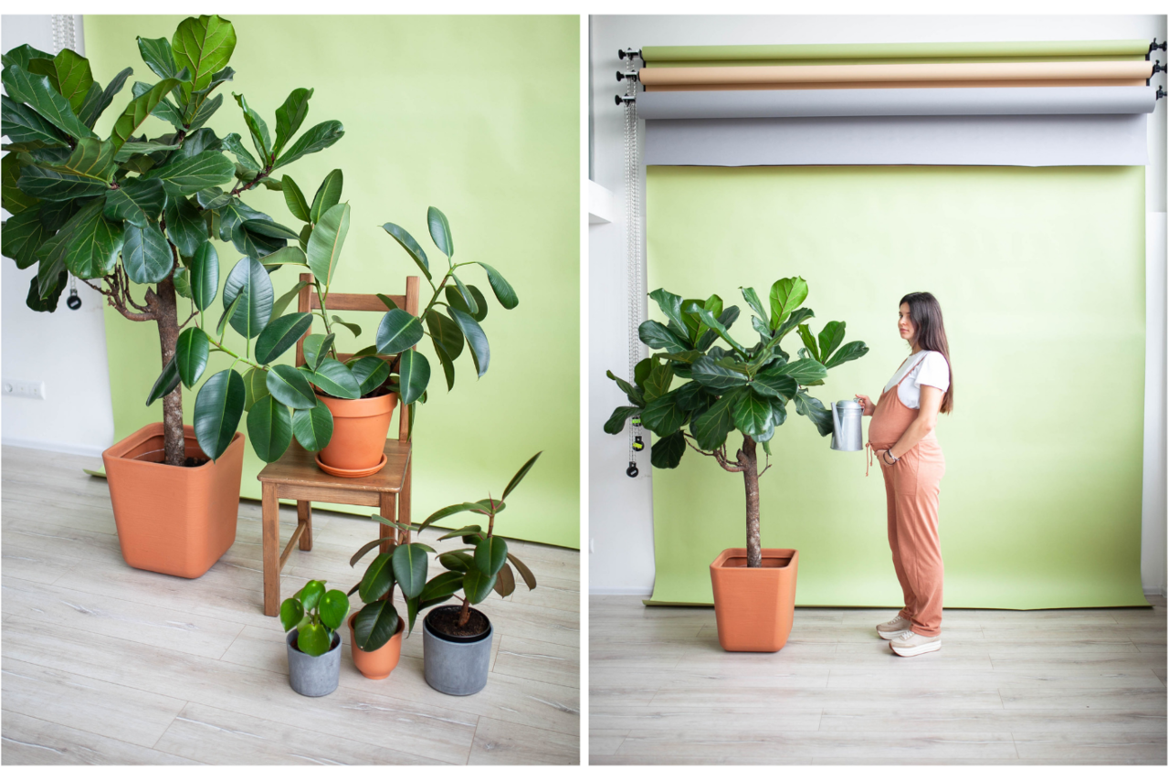 Арендовать Натура Место Белый тренинг-лофт