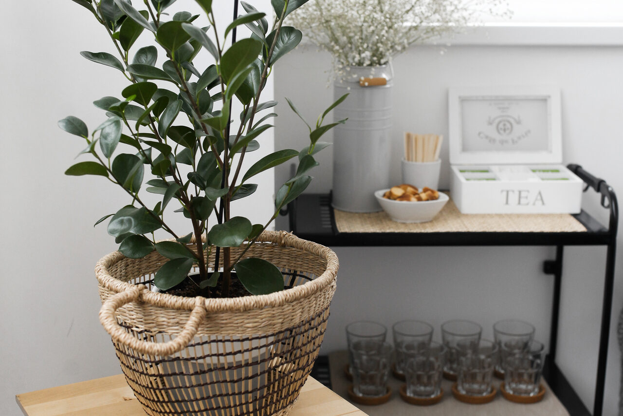 Арендовать Натура Место Лофт с деревянным столом