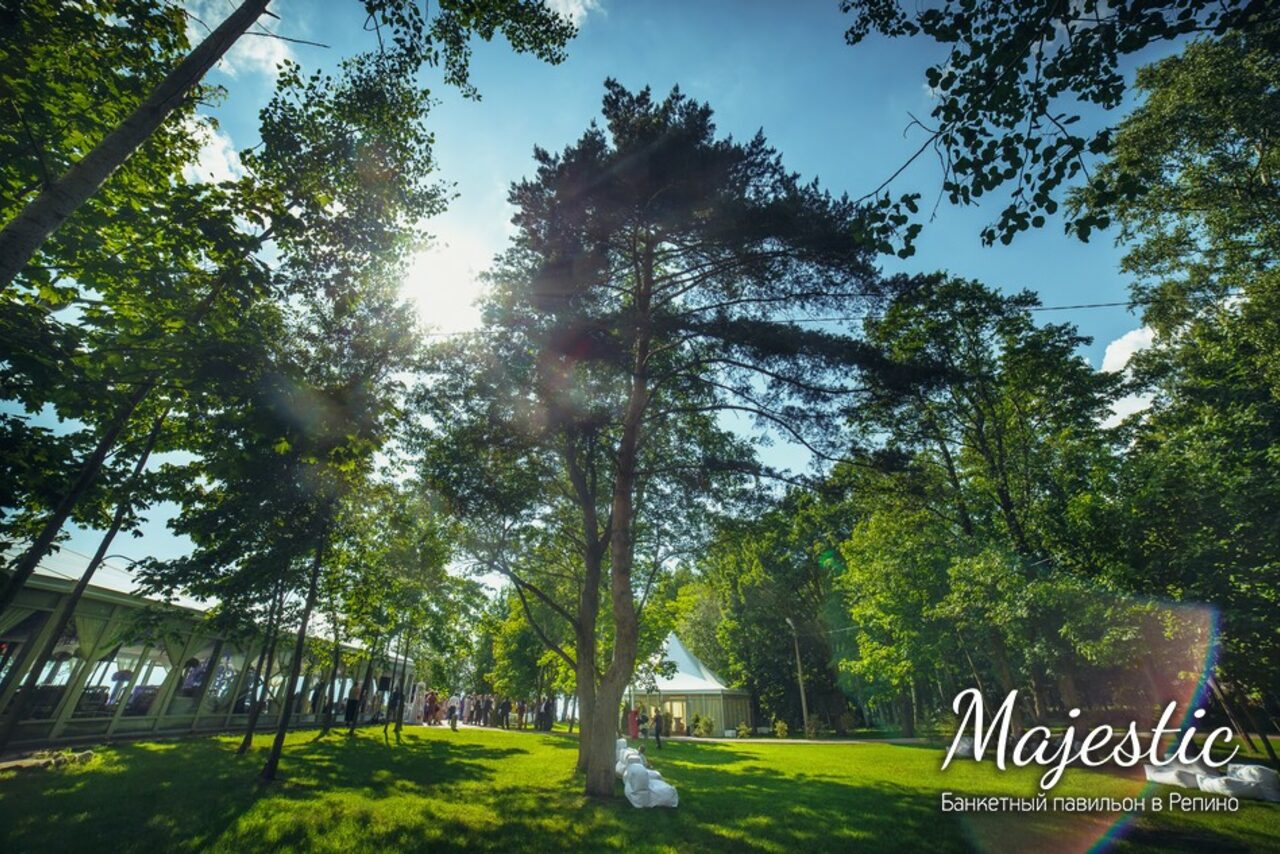 Арендовать Majestic в Репино
