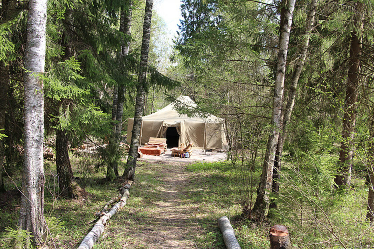 Арендовать загородный клуб "Партизан" в лесу под Истрой