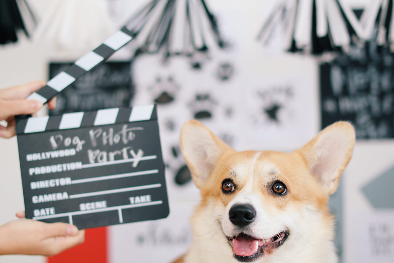 Арендовать Cloud Nine. Арт-пространство на мансардном этаже