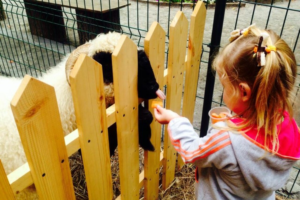 Арендовать Петровский Арсенал Открытая арт-площадка в Сестрорецке