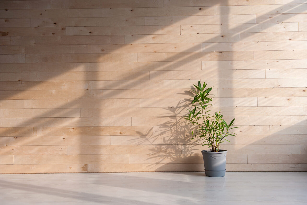 Арендовать Фотостудия Эффект Бабочки Яркий лофт на Варшавском шоссе