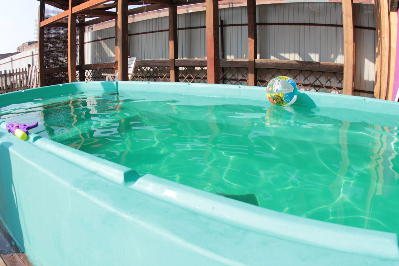 Арендовать  Summer veranda with swimming pool