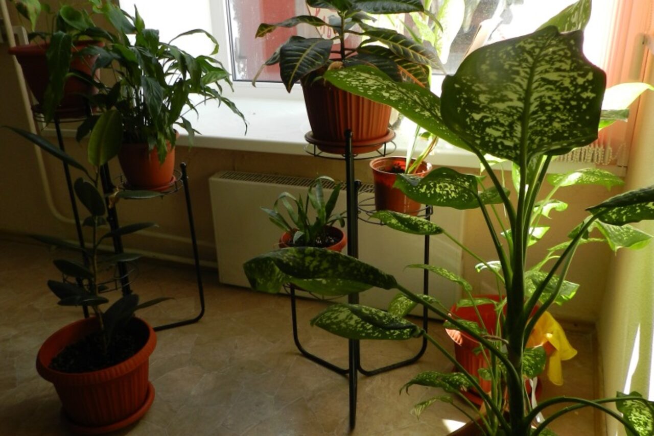 Арендовать Учебный класс с партами