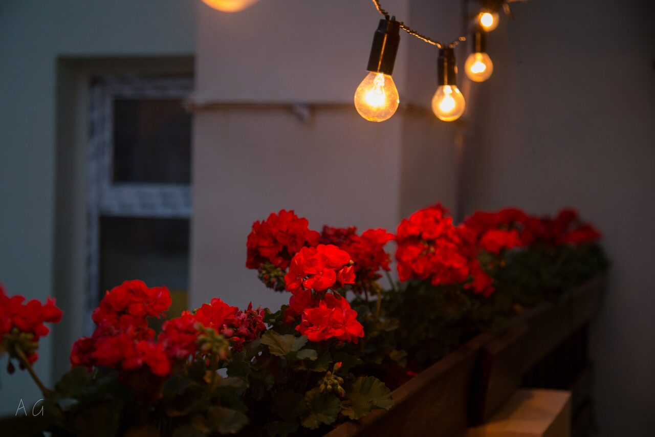 Арендовать RoofTop