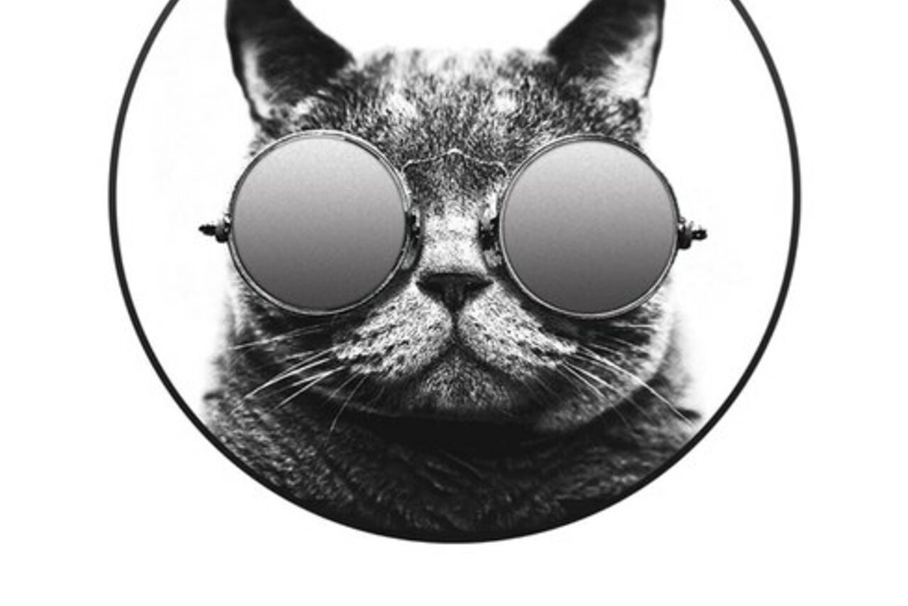 Арендовать New Reality Club