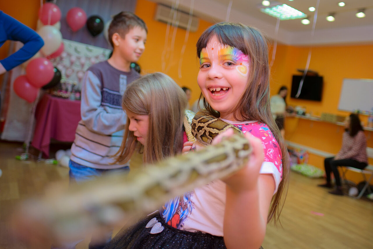 Арендовать Игротека