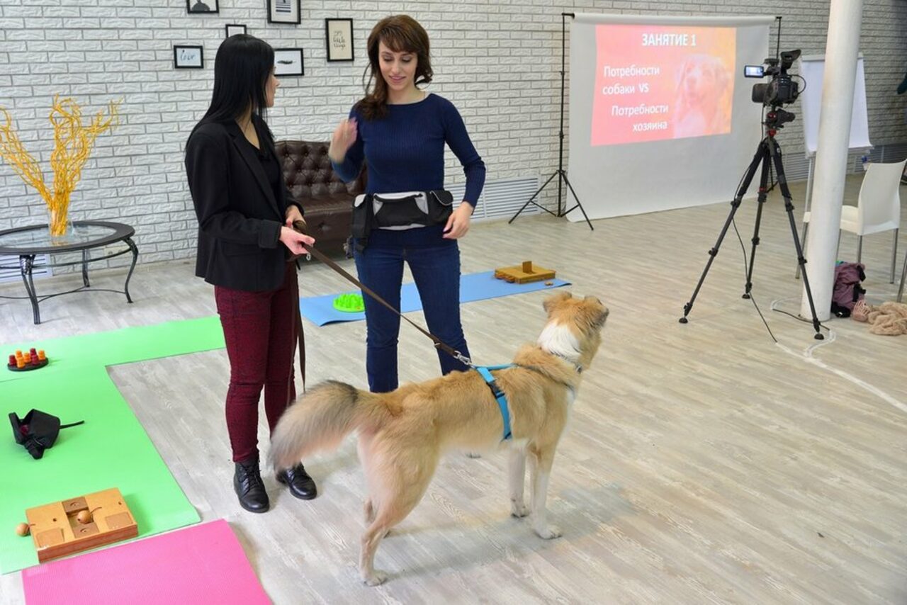 Арендовать Лофт Империя Лофт с барной стойкой и балконом