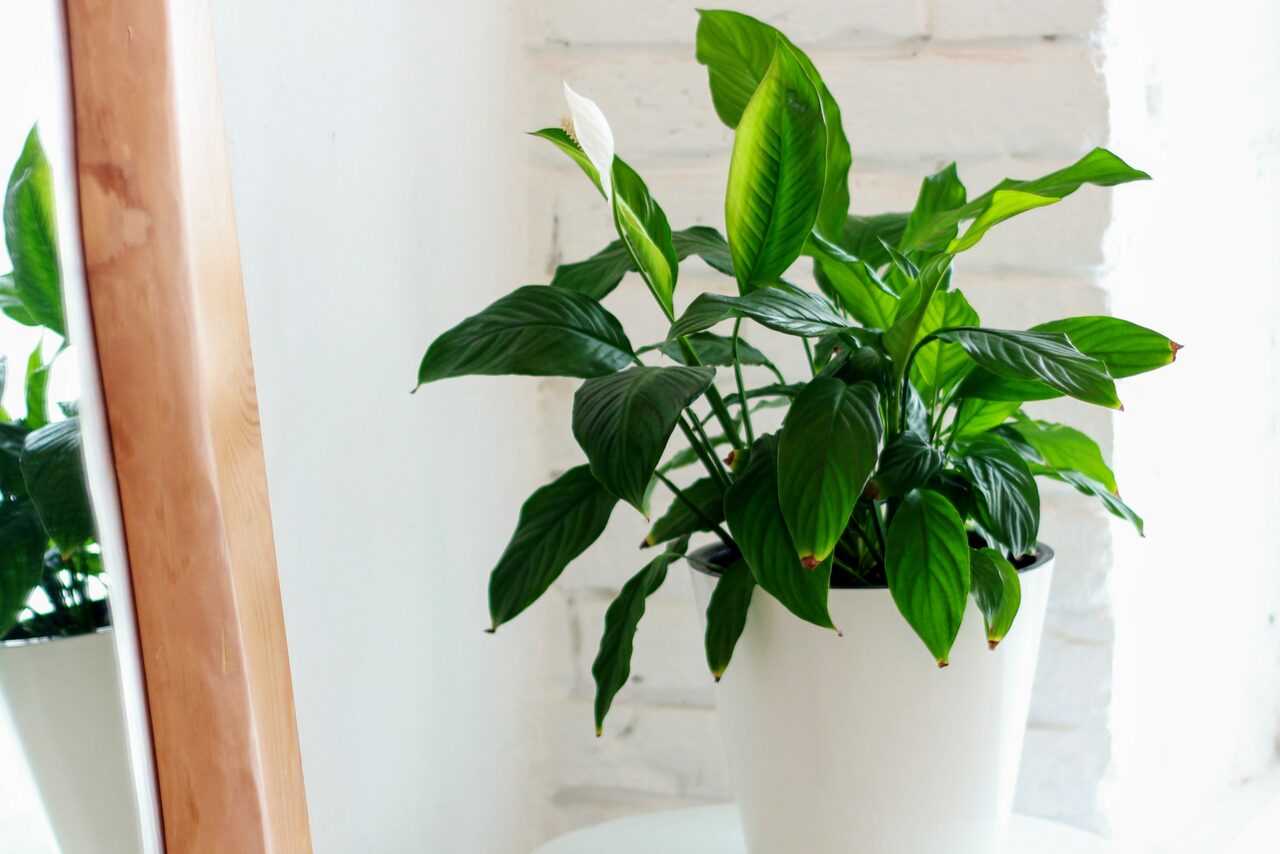 Арендовать  Креативный дом От ума. Студия Мастерская