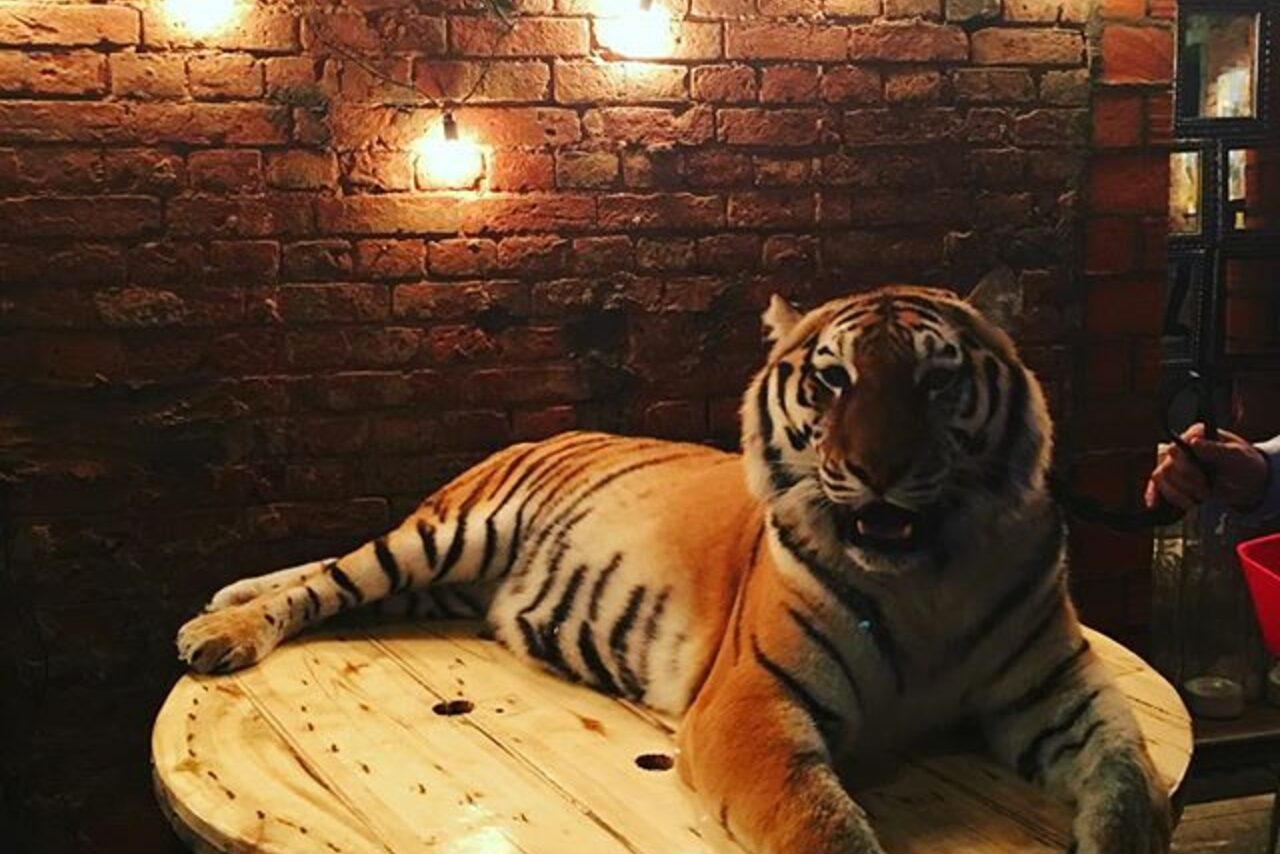 Арендовать Campus Loft. Лофт в центре Москвы