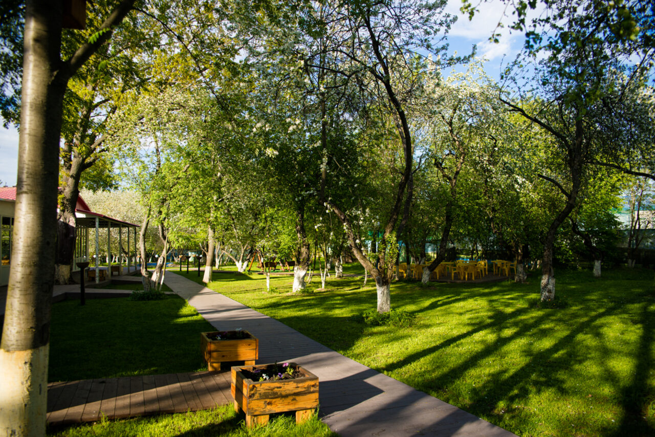 Арендовать Apple Hill. Яблоневый сад 