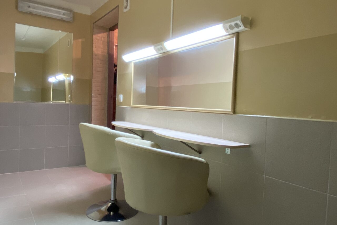 Арендовать Лофт-пространство с живыми хамелеонами