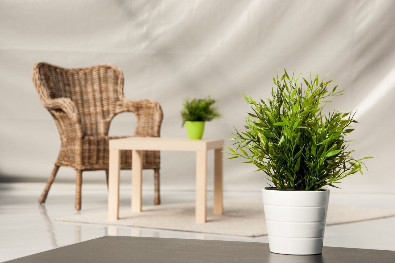 Арендовать Megapolis Studio