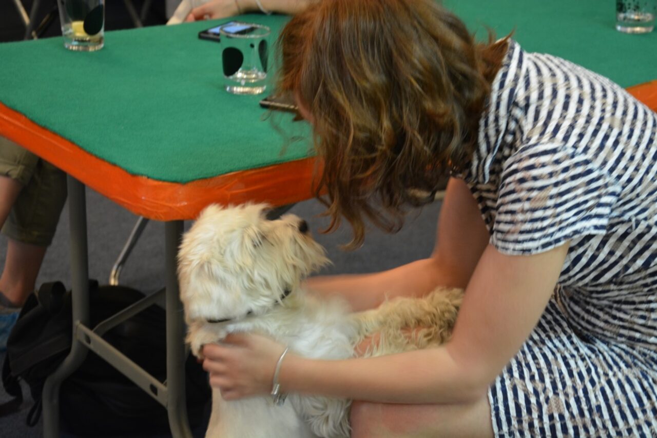 Арендовать СКВ СПб