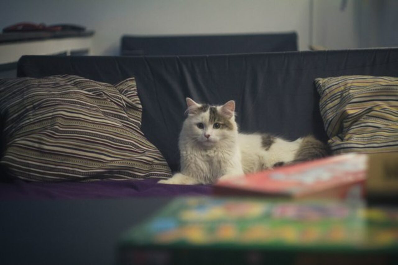 Арендовать Антикафе "Коперник" Полная аренда антикафе