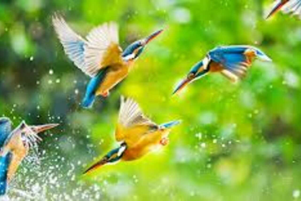 Арендовать Trest-1