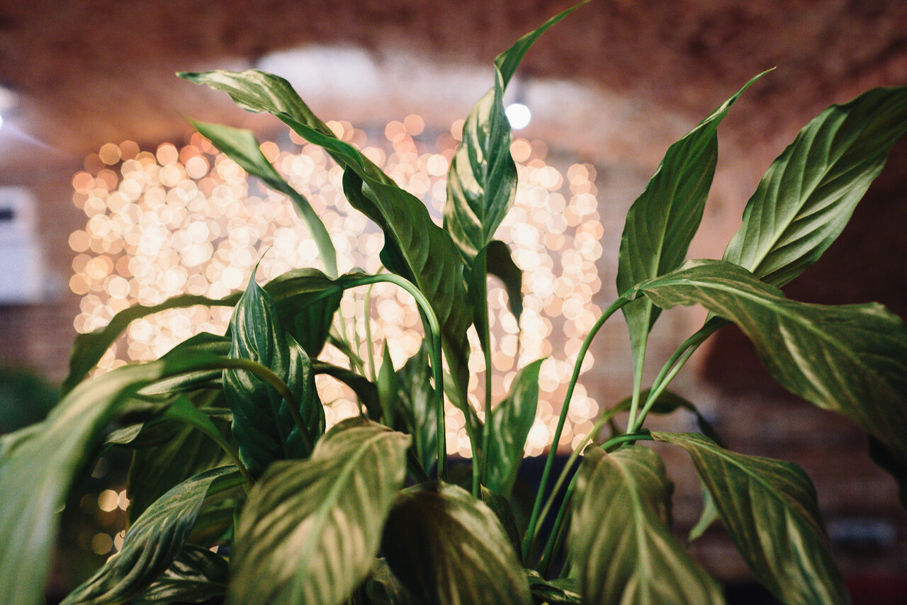 Арендовать Otherside Арт-лофт с кирпичными сводами на Невском проспекте