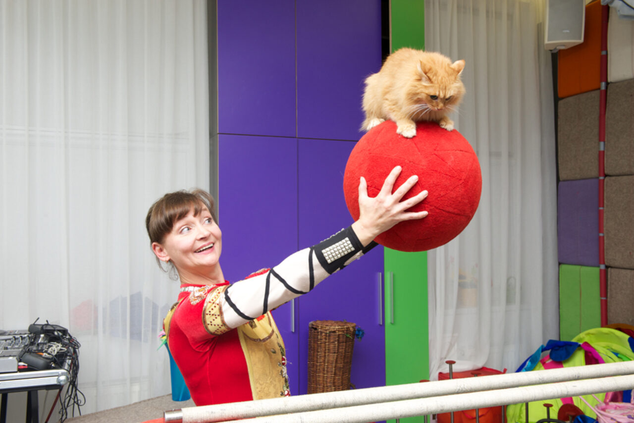 Арендовать Пампа Грин детский клуб