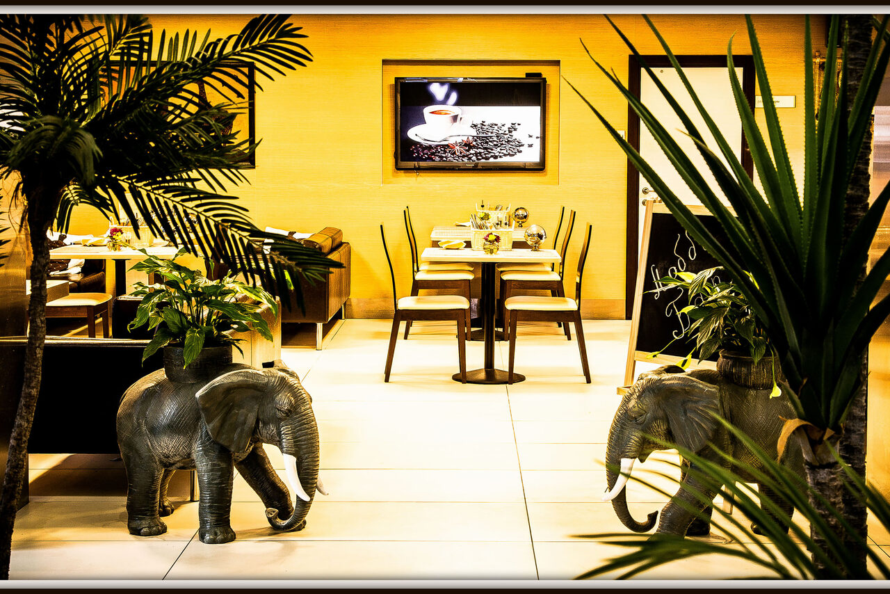 Арендовать Бар с зелеными растениями