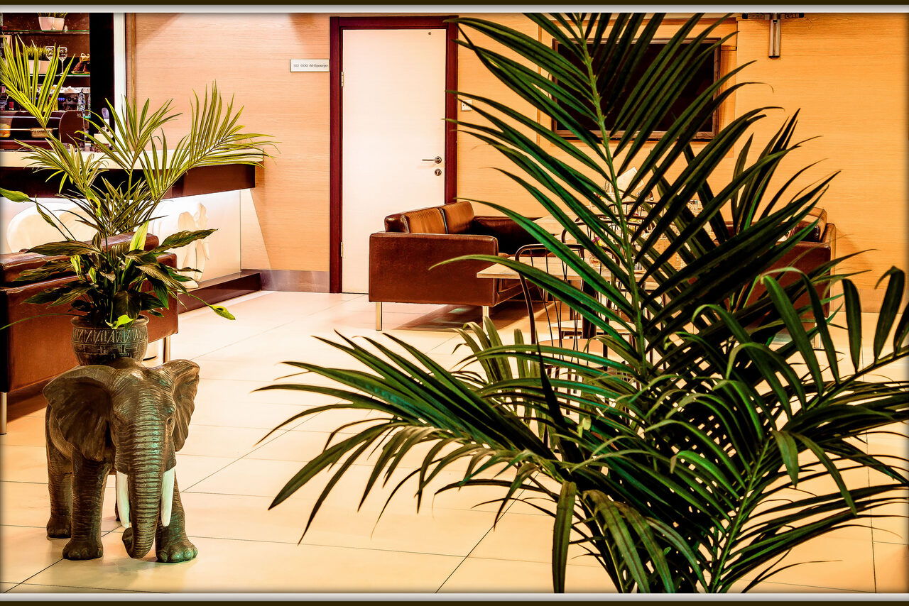 Арендовать Бар с зелеными растениями