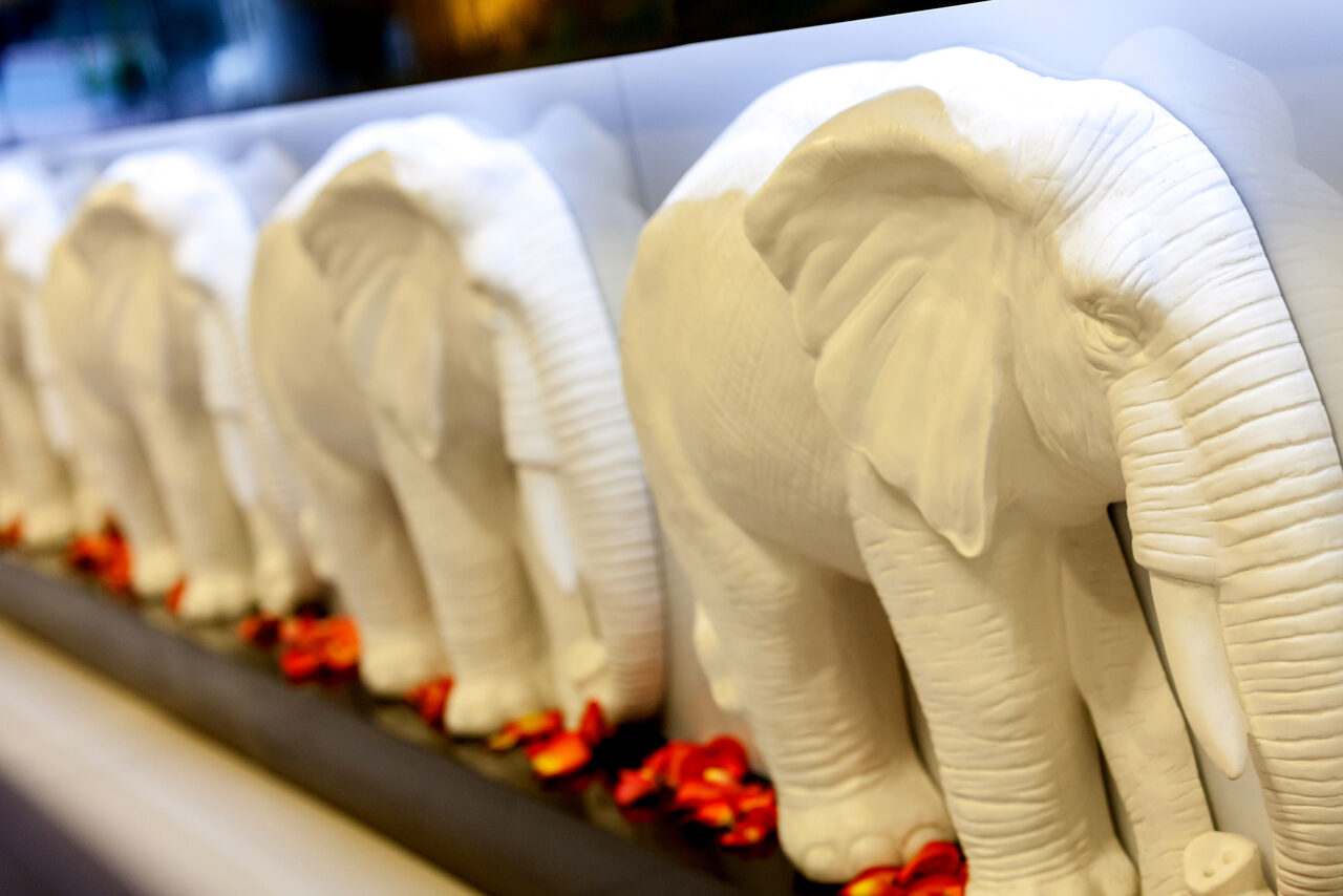 Арендовать Бар с зелеными растениями