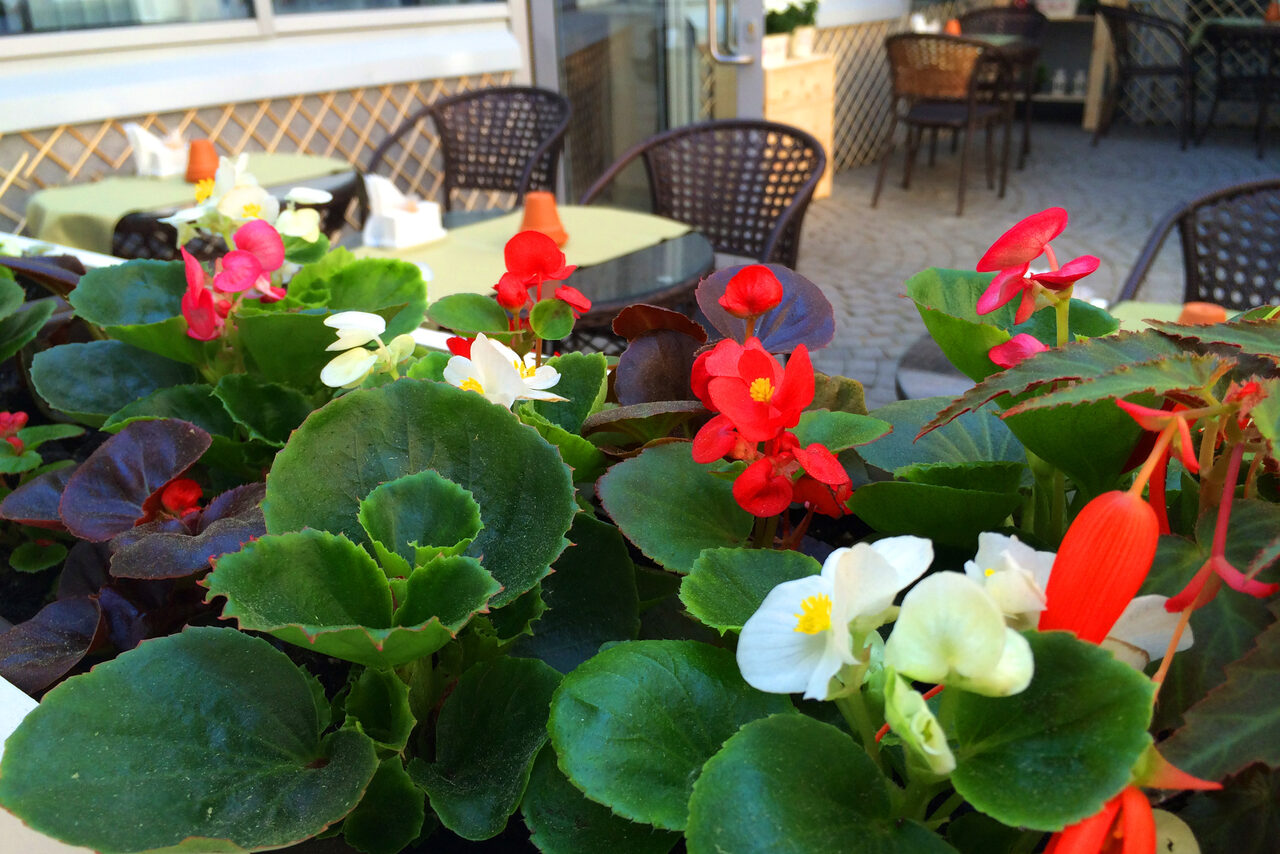 Арендовать Red Stars Hotel Банкетный зал с летней верандой