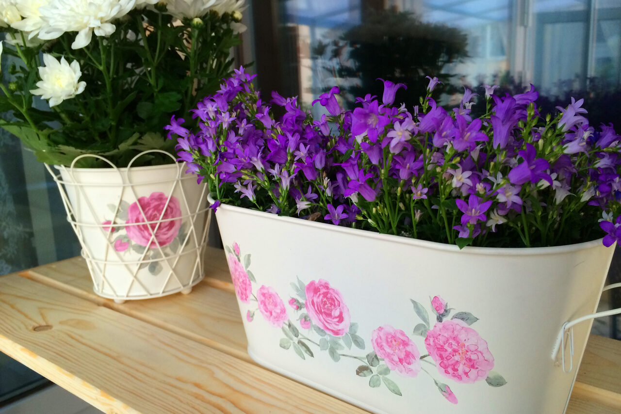 Арендовать Red Stars Hotel Банкетный зал с летней верандой