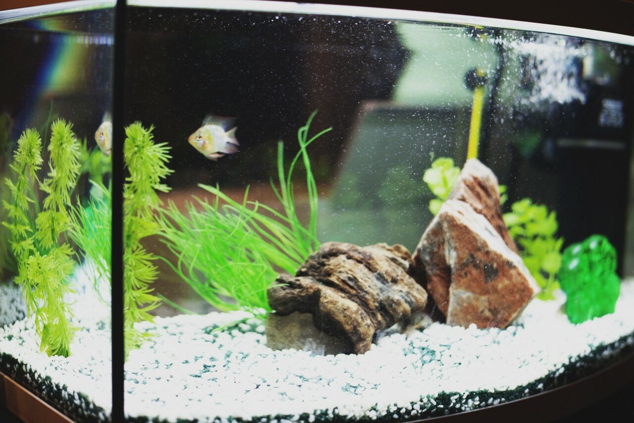 Арендовать Кулинарная Студия Clever