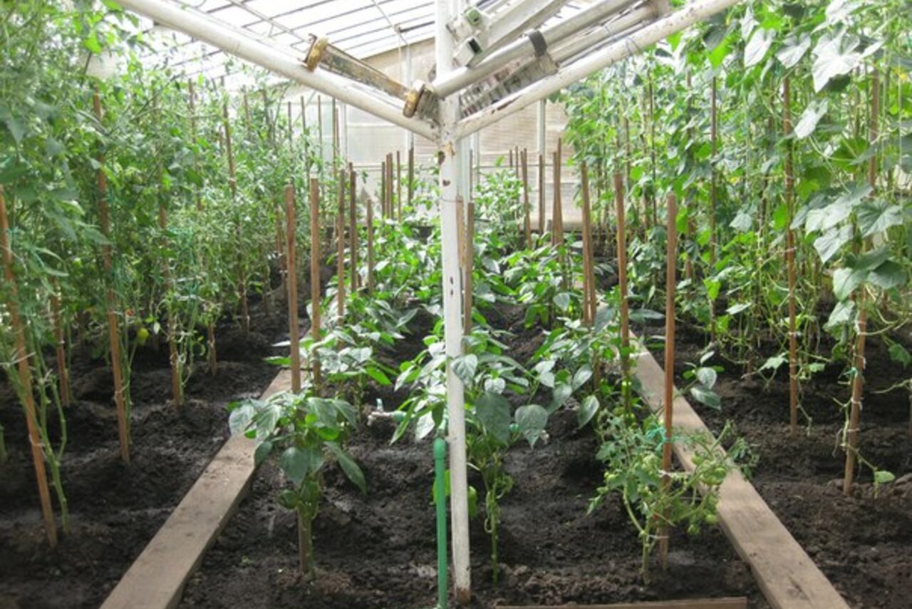 Арендовать Центр практик "Корабль"