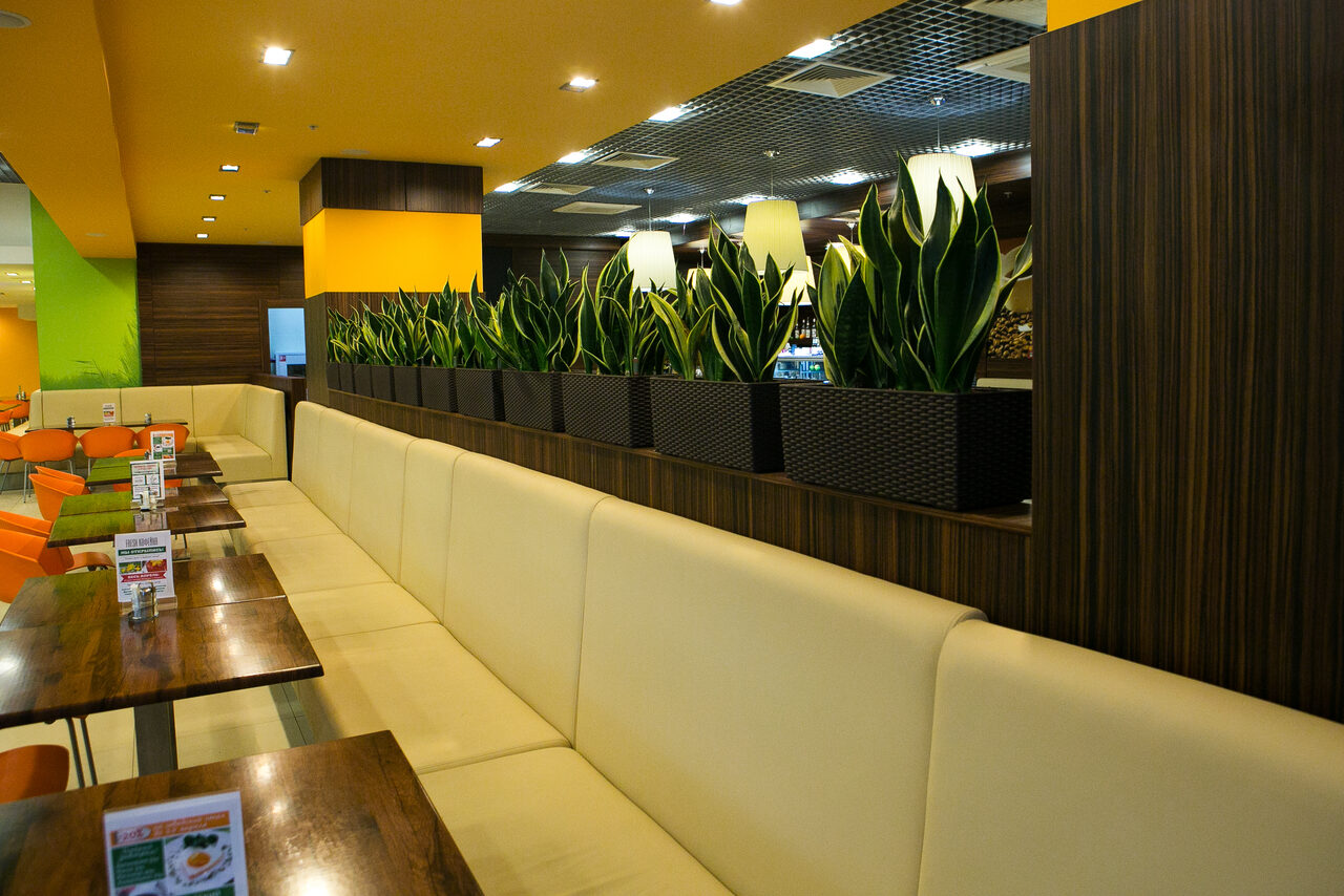 Арендовать Fresh cafe