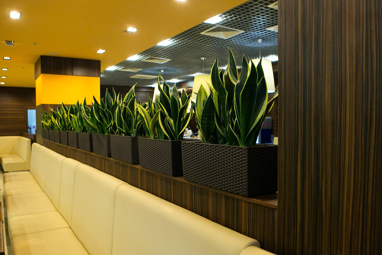 Арендовать Fresh cafe