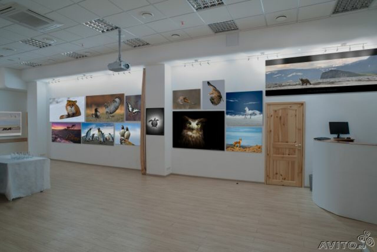 Арендовать Конференц-зал 