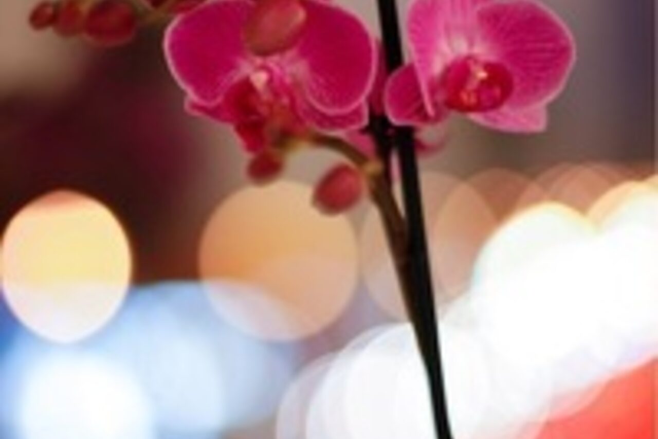 Арендовать Creative space on Petrogradskaya